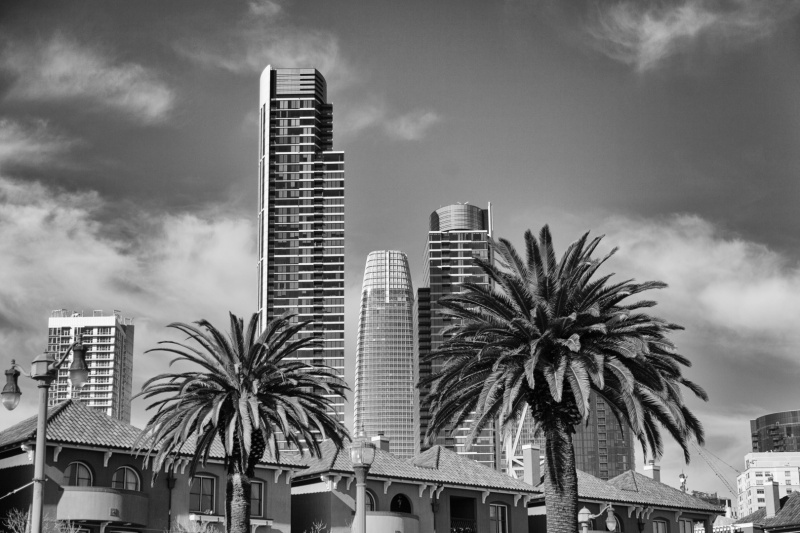 20171129-1241-Canon EOS 5D Mark II_EF24-105mm f-4L IS USM-IMG_6462-Edit-151-2.jpg