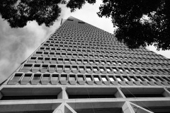 Transamerica Tower triangle