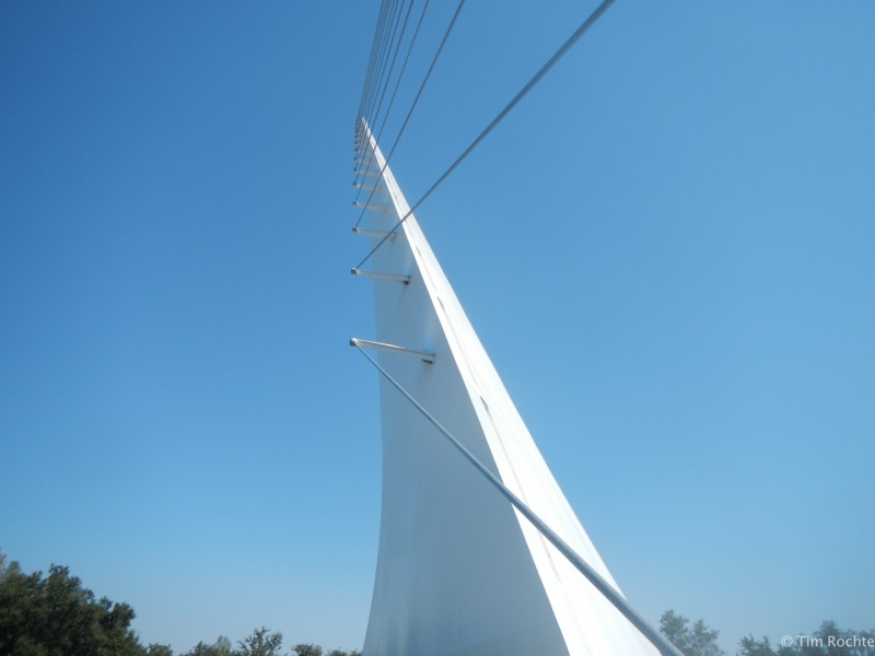 DSCN4829.jpg