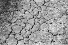 Dry trail at Black Diamond Mines