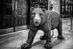 Bear in CA State Capitol