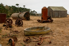 Farm and boat