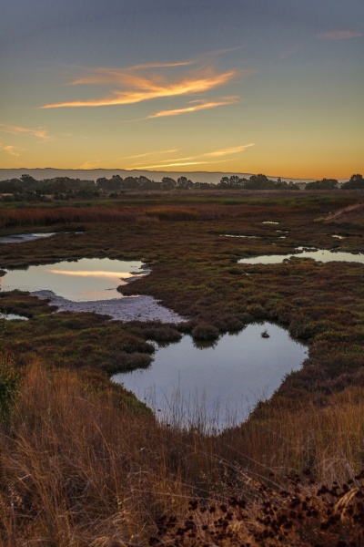 Sunset over Forebay Tall