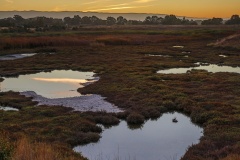 Sunset over Forebay Tall