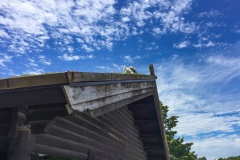 Goats on roof in Door County