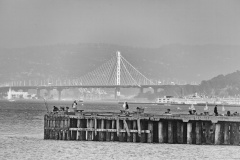 Bay Bridge from Ft. Point