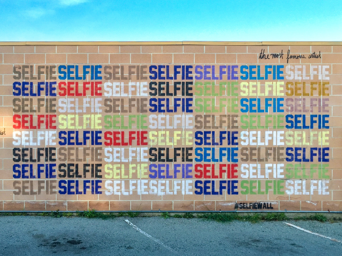 Selfie Wall