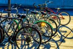 Bikes in Davis